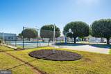 37096 Blue Bill Drive - Photo 42