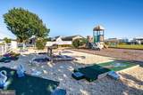 37096 Blue Bill Drive - Photo 45