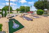 37096 Blue Bill Drive - Photo 48