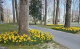 34403 Honeyspot Road - Photo 41