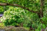 7504 Nancemond Street - Photo 47
