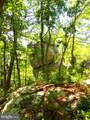 17 Reymann Drive - Photo 11