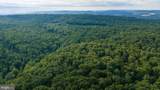 3125 Buckwheat Road - Photo 9