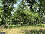 Lot 24A 3.22 AC Fox Run - Photo 2