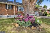 2117 Louisa Avenue - Photo 40