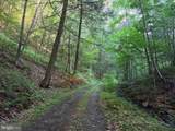 00 Carlisle Gap Road - Photo 16