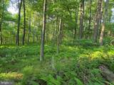00 Carlisle Gap Road - Photo 18