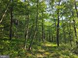 00 Carlisle Gap Road - Photo 19