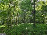 00 Carlisle Gap Road - Photo 20