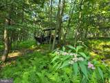00 Carlisle Gap Road - Photo 21