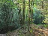 00 Carlisle Gap Road - Photo 22