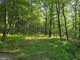 00 Carlisle Gap Road - Photo 23