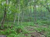 00 Carlisle Gap Road - Photo 24