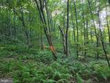 00 Carlisle Gap Road - Photo 25