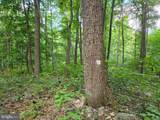 00 Carlisle Gap Road - Photo 27