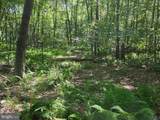 00 Carlisle Gap Road - Photo 28