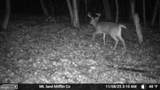 00 Carlisle Gap Road - Photo 3