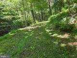 00 Carlisle Gap Road - Photo 33