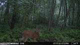 00 Carlisle Gap Road - Photo 34