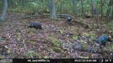 00 Carlisle Gap Road - Photo 36