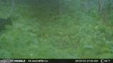 00 Carlisle Gap Road - Photo 38