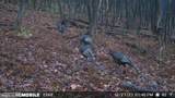 00 Carlisle Gap Road - Photo 4