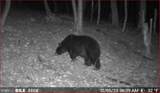 00 Carlisle Gap Road - Photo 5