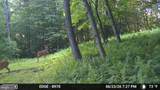 00 Carlisle Gap Road - Photo 6