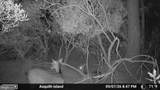 2439 Asquith Island Road - Photo 7