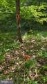 Lot 51 Valley Drive - Photo 25