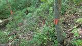 Lot 51 Valley Drive - Photo 27