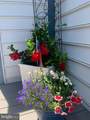 33718 Chatham Way - Photo 40