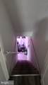 4432 Manorview Road - Photo 16