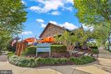 312 Petunia Way - Photo 46