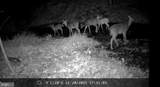Lot 35 Maverick Trail - Photo 10