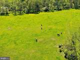 60 Hunter Road - Photo 77