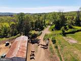 60 Hunter Road - Photo 79
