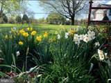 15010 Rolling Ridge Road - Photo 48