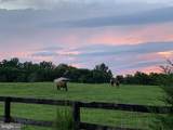 15010 Rolling Ridge Road - Photo 57