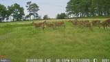 1713 Doeller Road - Photo 66