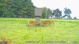 1713 Doeller Road - Photo 84