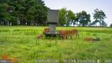 1713 Doeller Road - Photo 87