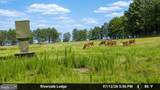 1713 Doeller Road - Photo 91