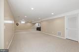 12304 Osprey Lane - Photo 43