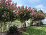 23801 Pembroke Lane - Photo 73