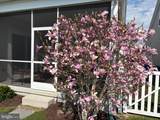 23801 Pembroke Lane - Photo 75