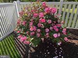 23801 Pembroke Lane - Photo 76