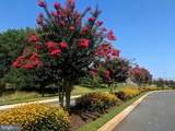 1 Hickory Branch Lane - Photo 43