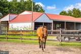9140 Athol Road - Photo 11