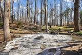 38842 Foley Mattingly Road - Photo 6